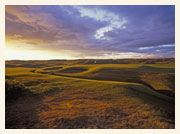 Dundonald Links